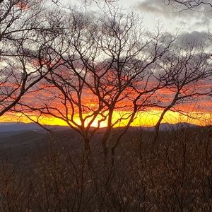 Meet your Posher, Charles